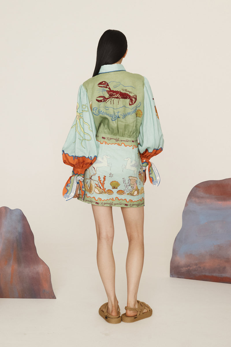 SURREALIST SUMMER MINI SHIRTDRESS